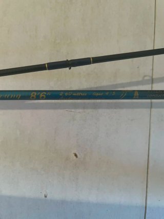 Caña de pesca Mitchell Baclis 8'6