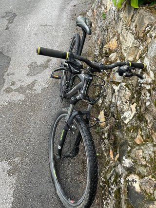 Bicicleta BMX gris
