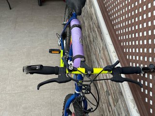 Bicicleta de Montaña