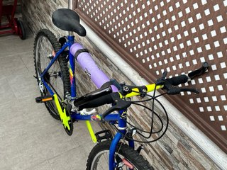 Bicicleta de Montaña