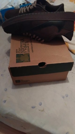 Zapatillas Travis Marrones Talla 43