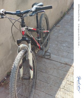 Bicicleta Trek niño de 150 cm.