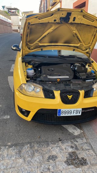 SEAT Ibiza Cupra R 2006 1.8t 20v 180cv