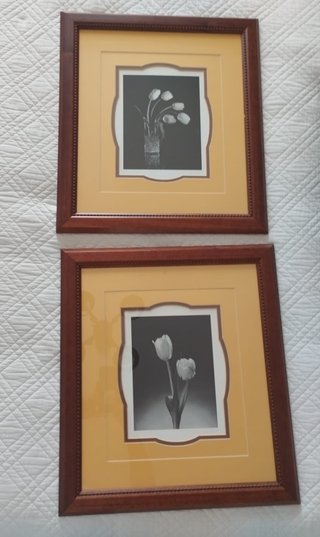 2 Cuadros Tulipanes 47x42cm