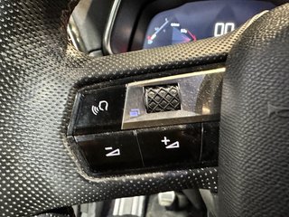DS DS 7 Crossback BlueHDi 96kW (130CV) PERFORMANCE LINE