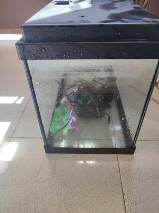 Acuario con filtro y calentador