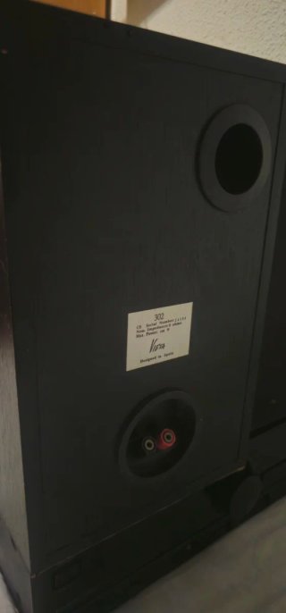 Altavoces Vieta 302 con amplificador Kenwood