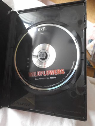DVD Wildflowers (Drama, Romance)