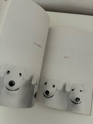 Libros de patrones. Edición japonesa