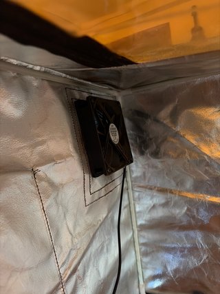 Acmer S2 Placa + Cubierta Antihumos para maq laser