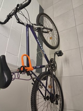 Bicicleta Funcional Talla L