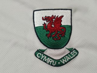 Camiseta Selección Gales. Talla 3XL