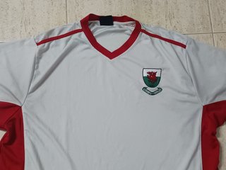 Camiseta Selección Gales. Talla 3XL