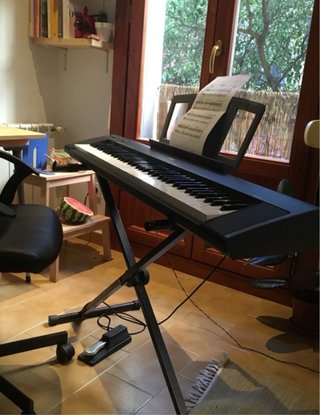 Teclado Yamaha NP-30 portable grand