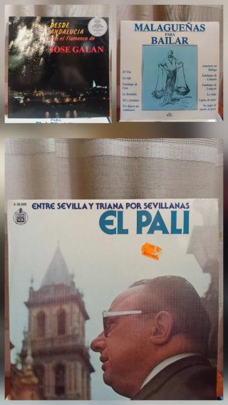 Lote 26 vinilos Flamenco