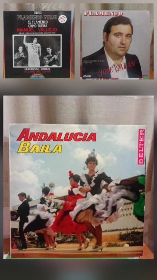 Lote 26 vinilos Flamenco