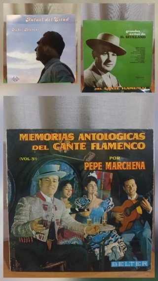 Lote 26 vinilos Flamenco