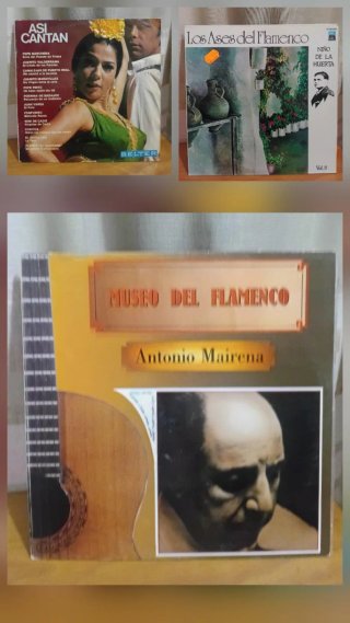 Lote 26 vinilos Flamenco