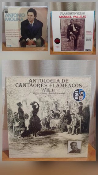 Lote 26 vinilos Flamenco