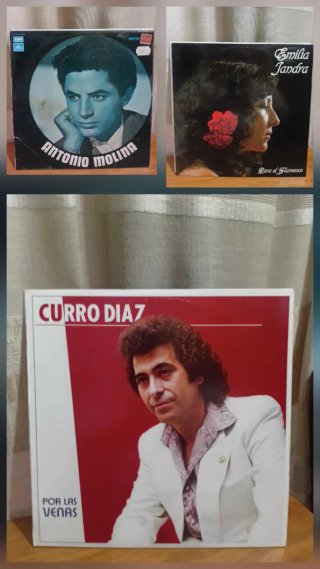 Lote 26 vinilos Flamenco