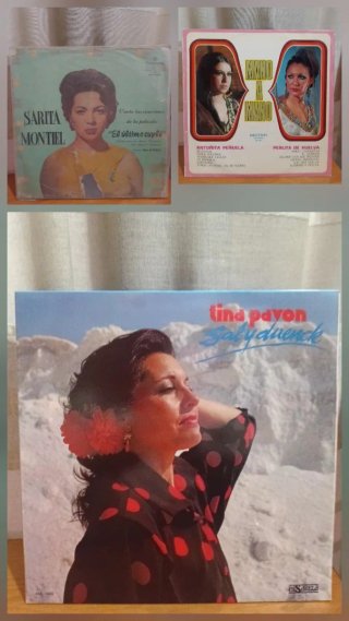 Lote 26 vinilos Flamenco