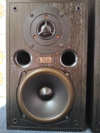 Altavoces Acoustic Energy AE100 Negros