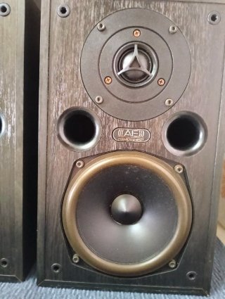 Altavoces Acoustic Energy AE100 Negros