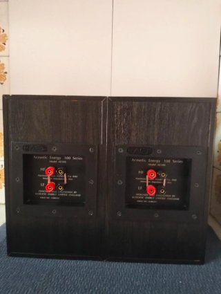 Altavoces Acoustic Energy AE100 Negros