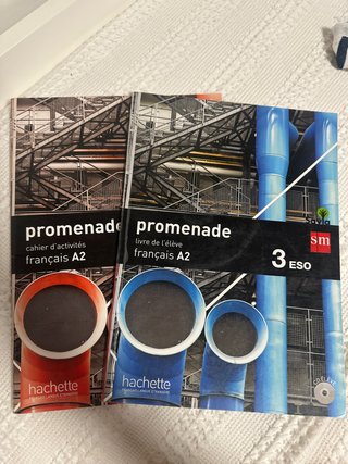 Promenade, français A2, 3 Secundaria Cahier d'a...