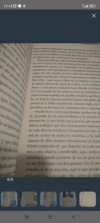 El bastardo real