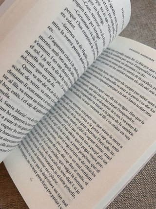 Tirant lo Blanc. Episodis amorosos. Text adapta...