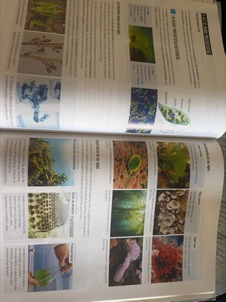 Proyecto: FanFest - Biología y Geología 1 ESO