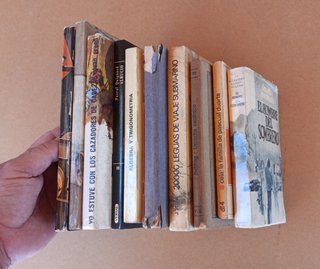 Lote de 11 libros variados.