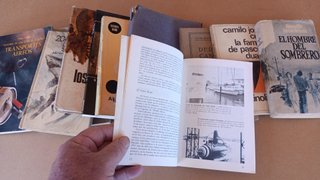 Lote de 11 libros variados.