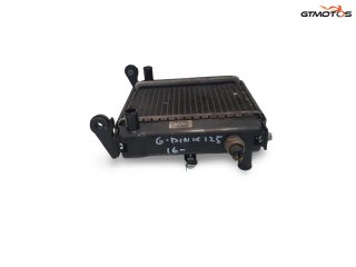Radiador Agua Kymco Grand Dink 125 2016-2019