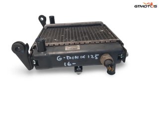 Radiador Agua Kymco Grand Dink 125 2016-2019