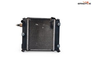 Radiador Agua Kymco Grand Dink 125 2016-2019