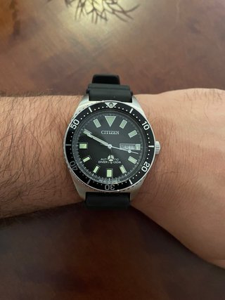Citizen Promaster Aqualand Automatico