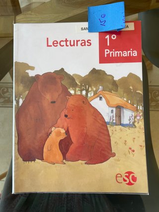 Lecturas 1 primaria