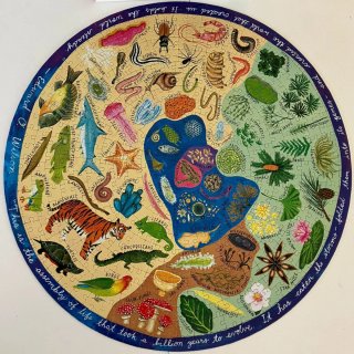 Puzzle 500 piezas Biodiversity