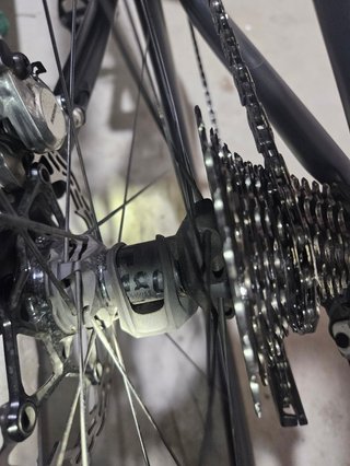 Ruedas Carbono Tubeless 40mm DT Swiss