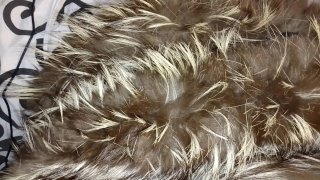Chaquetón de pelo mapache auténtico
