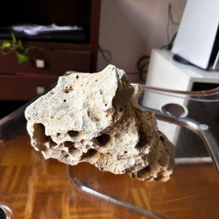 Rocas Holle Stone (Zancibar) para Acuario 11Kg