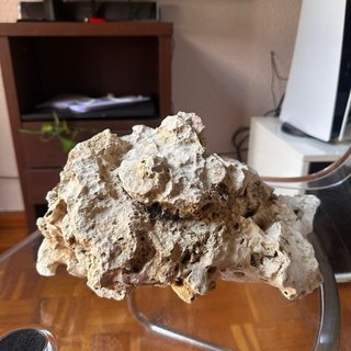 Rocas Holle Stone (Zancibar) para Acuario 11Kg