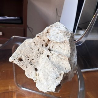Rocas Holle Stone (Zancibar) para Acuario 11Kg