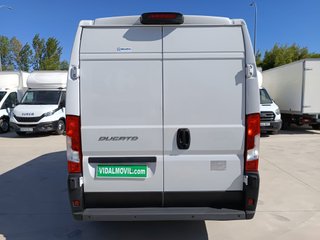 FIAT Ducato 2.2 FURGON FRIGORIFICO FRC-X -20o