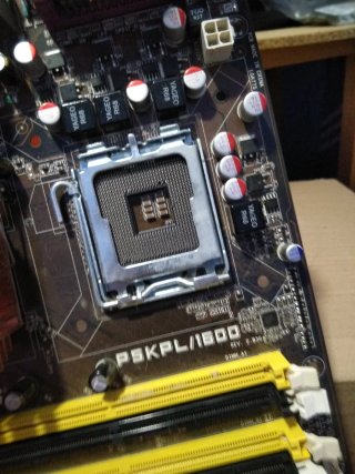 Placa Base ASUS PSKPL/1600