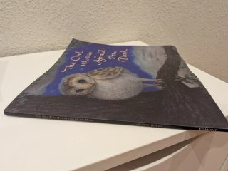 Libro The owl who was afraid of the dark