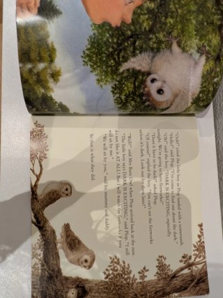 Libro The owl who was afraid of the dark