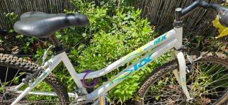 Bicicleta Montaña Cuadro Mujer